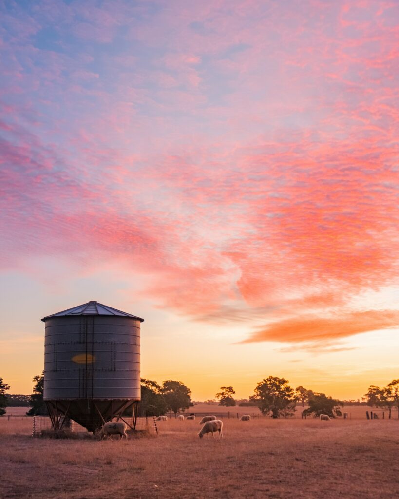 Dove fare le farm in Australia: consigli e informazioni