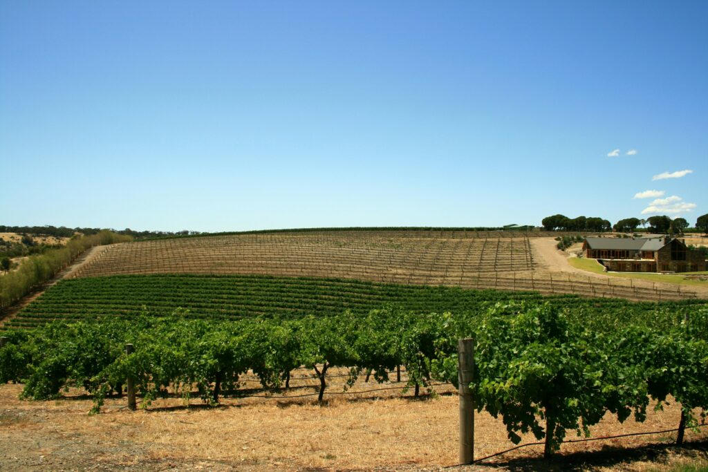 Dove fare le farm in Australia: consigli e informazioni